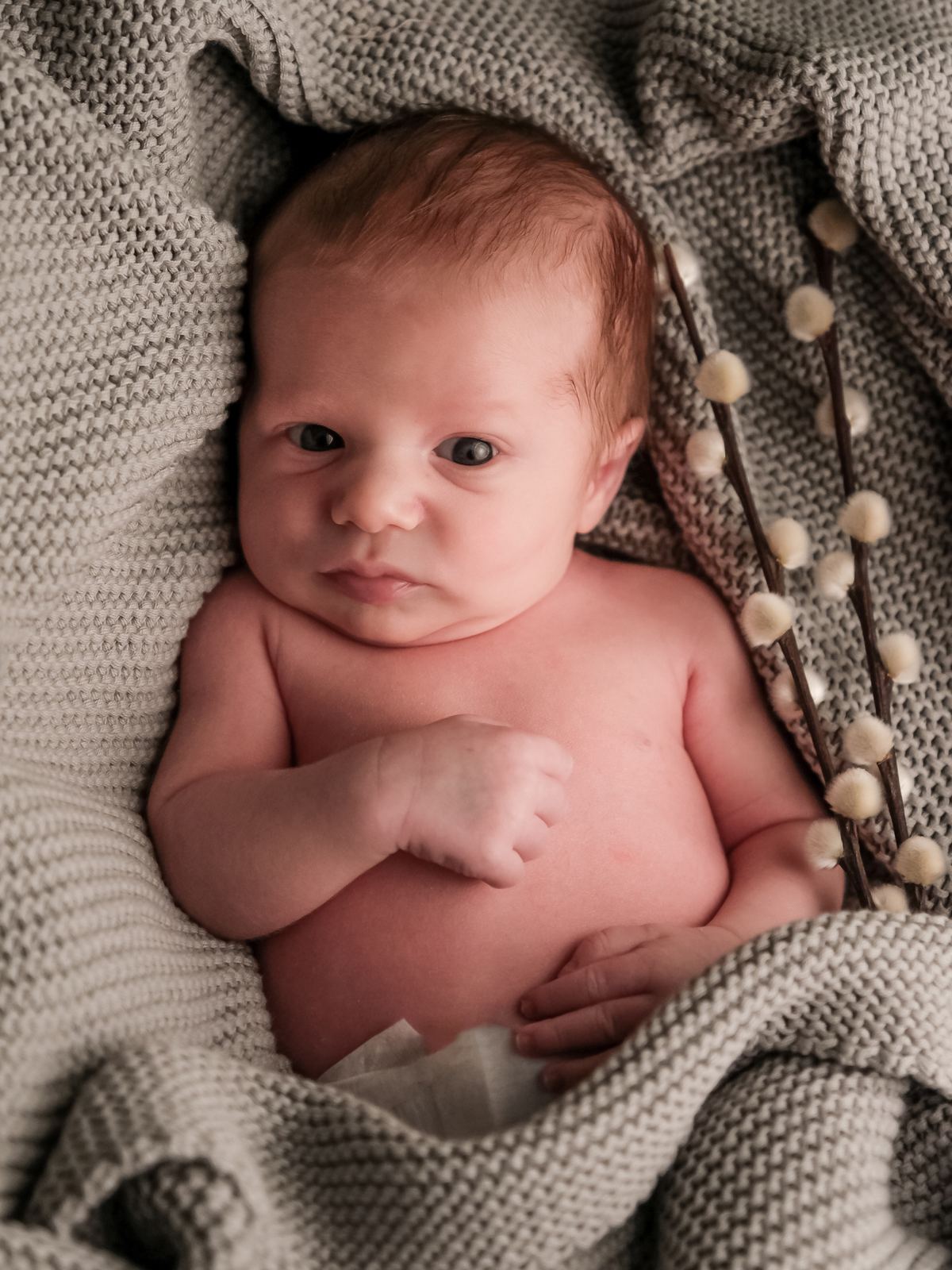 New Born — Foto Pollmann